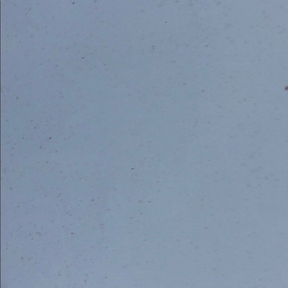 Meet your Posher, Hailey - Picture 1 of 1